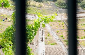 Apartamento Los Lirios - Foto 4