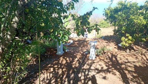 Holiday Home El pajal House Relax by Interhome - Foto 2