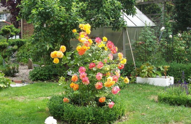 Holiday Apartment Kirchhoff - Foto 31