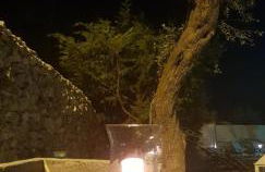 Residence Bellaria - Foto 23