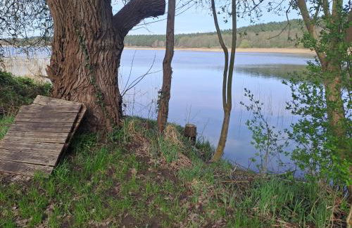 Haus Hecht - Foto 37