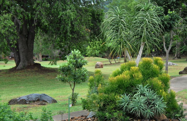 Kruger Park Lodge Unit 612 - Foto 40