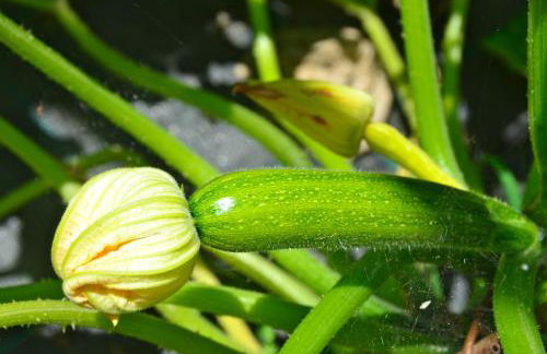 Agriturismo La Montina - Foto 50