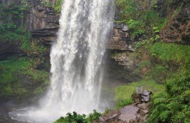 Gwilym's Stable - Foto 22