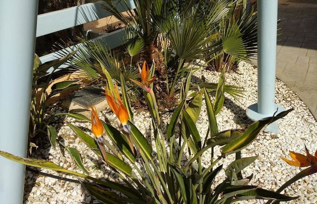 Playas del sur - Photo 8