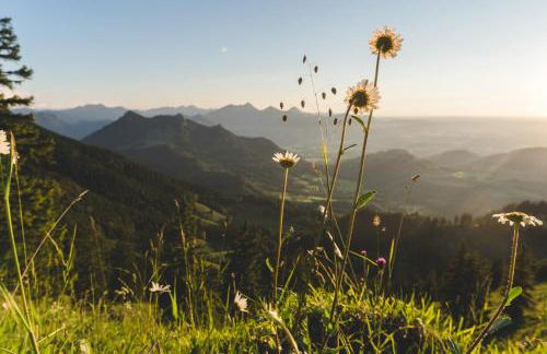 PanoramaLodge Samerberg - Foto 7