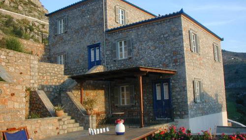 Hydra Erato - Photo 4