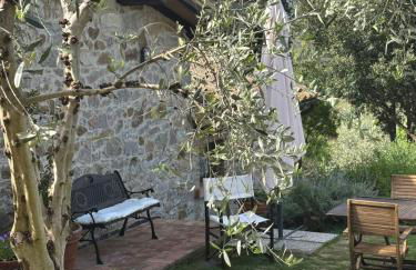 LA CAPANNA Casale in pietra con piscina - Foto 36