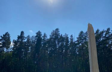 Lieblingsplatz im Küstenwald Graal-Müritz - Foto 15