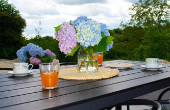 Kraljeva hiža - Apartmani i sobe Kralj - Foto 22