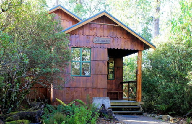 Cradle Highlander - Foto 5