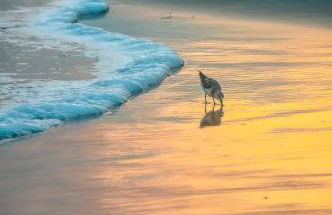 Topsail Treasure's - Oceanfront Luxury Spa Pool - Foto 52
