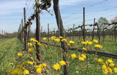 Agriturismo SetteLune - Foto 5