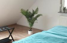 Ferienwohnung Sonnenschein - Foto 4