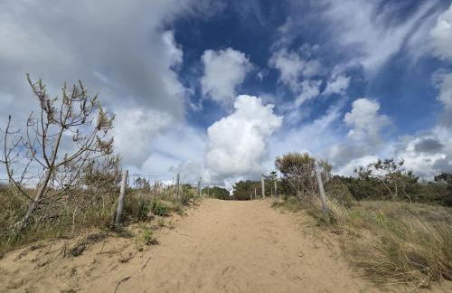 Appartement neuf 62 m², 5 couchages, à 250 m de la plage - balcon, jardin privé, et parking inclus - FR-1-364-111 - Foto 22