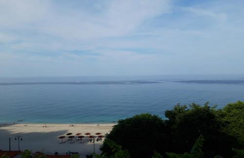 Ammos papanero - Foto 27