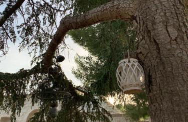 Il Trullo di Francesca - Foto 24