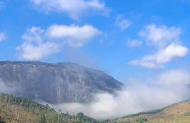 Hotel Fazenda Santa Helena - Photo 77