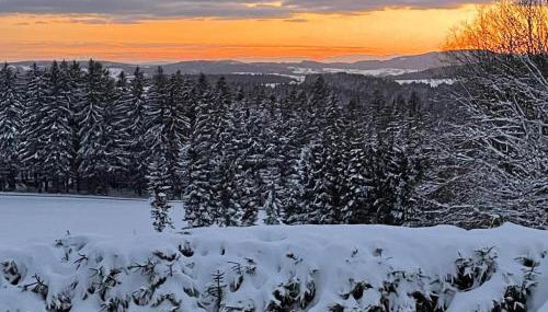 Große Ferienwohnung Hundertwasser am Dreisessel in Altreichenau - Foto 4