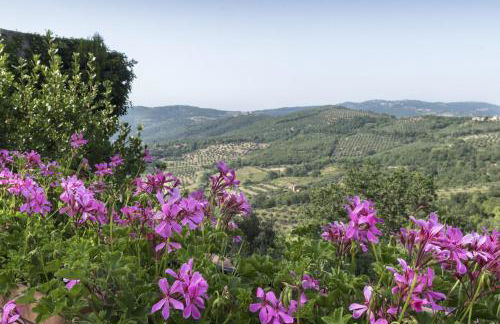Agriturismo Borgo Spagnoli - Photo 19