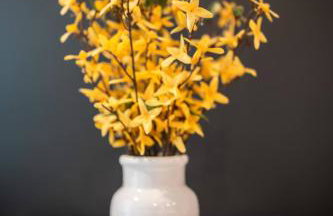 Peaceful Stay Near TX Med Ctr | Gated Parking! - Foto 44