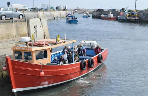 The Nest - Uk32352 - Foto 20