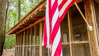 Happy Pine Cone - Foto 4