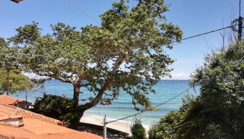 Feel at Home - Foto 2