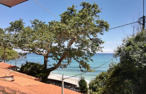 Feel at Home - Photo 2