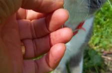 Casa dos ánxeles VUT-OR-1310 - Foto 76