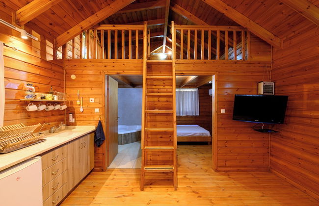 Belfer's Dead Sea cabins- Apartments - Photo 8