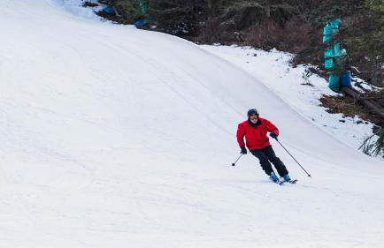Nature's Paradise with Hot Tub and Fire Pit - Foto 40