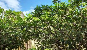 Esplanada10 - Foto 3