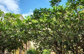 Esplanada10 - Foto 3