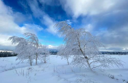 FeWo Gipfelglück - Foto 24