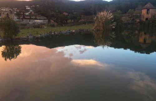 Beautiful 15th century villa on 30 acre estate, for families only - Foto 11