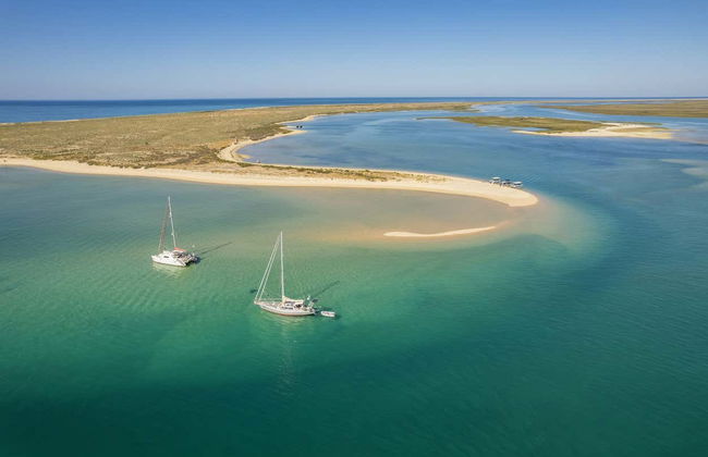 Deserta and Farol Islands Cruise - Photo 6
