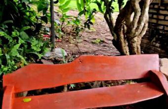 Sítio Maranatá, a mais bela vista do Pacoti! 20min de Guaramiranga! - Foto 32