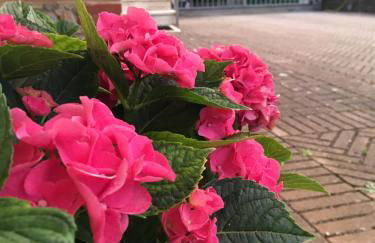 Le Coccole Del Trasimeno - Foto 52