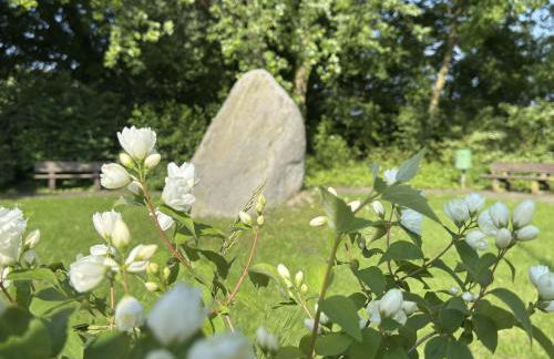 Haus Meerzeit - Altfunixsiel - Foto 34