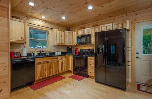 Modern Asheville Cabin Retreat - Foto 4