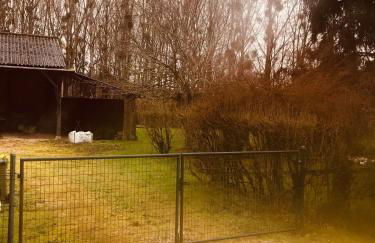 Maison familiale jardin wifi 17km Beauval - Foto 42