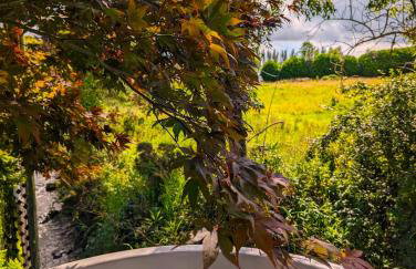 Riverside Cottage at Logwood Mill - Foto 10