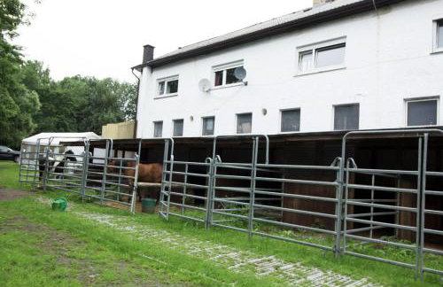 Ferienwohnung Ulrichstein/ Bobenhausen II - Foto 31