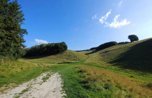 Portreeves - Foto 50