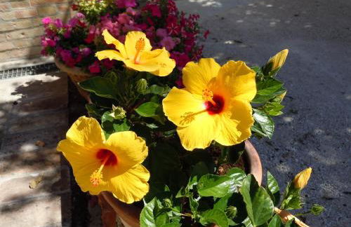 Agriturismo Il Borghetto - Foto 53