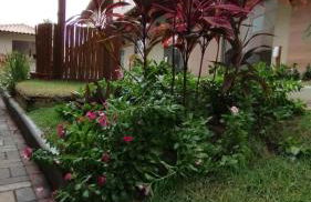 Aconchego da Jandaia - Foto 11