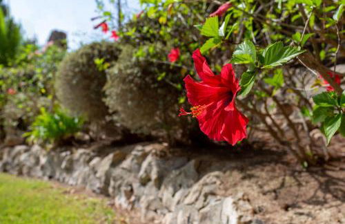 Azzurra Home-Charming Property- For 6 guests - Foto 43