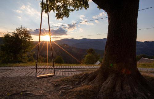 Zielona Granica - Foto 24