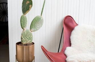 Object Hotel 1BR Shared Bath Room 2D - Foto 26